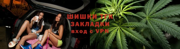 дживик Бронницы