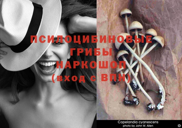 МДПВ Волосово