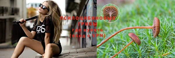 спиды Волоколамск