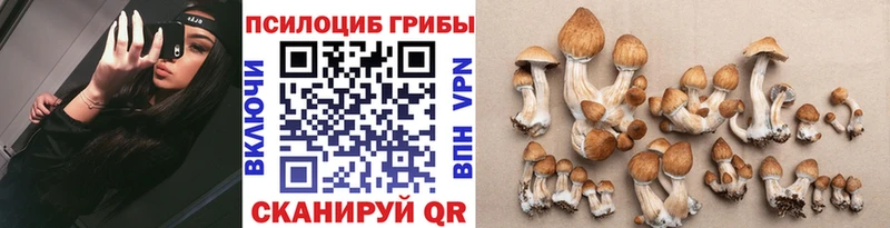 Галлюциногенные грибы мицелий  магазин продажи наркотиков  Камбарка 